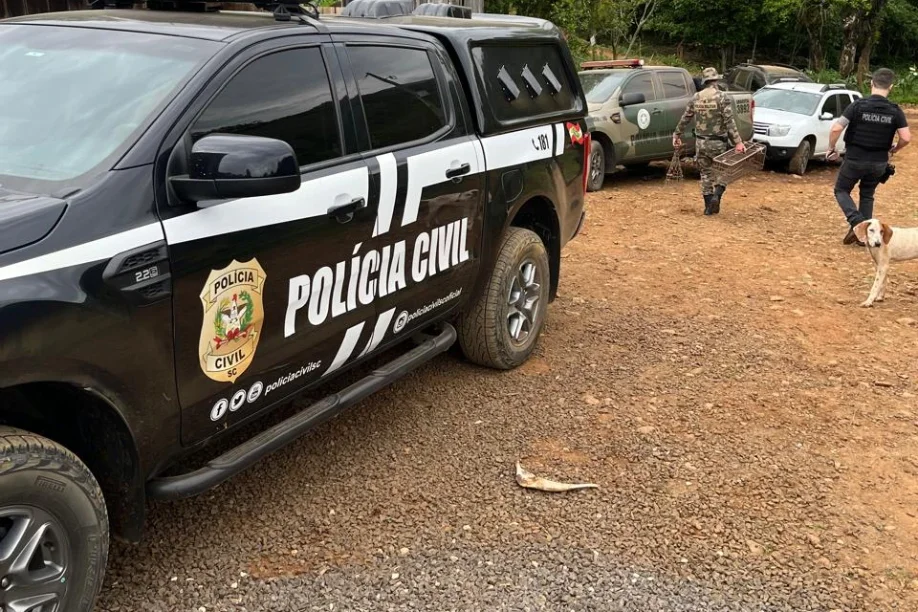 Viatura da Polícia Civil em área rural, com agentes e um cachorro farejador ao fundo, após a prisão de um homem em operação integrada contra a caça ilegal em Jacinto Machado.