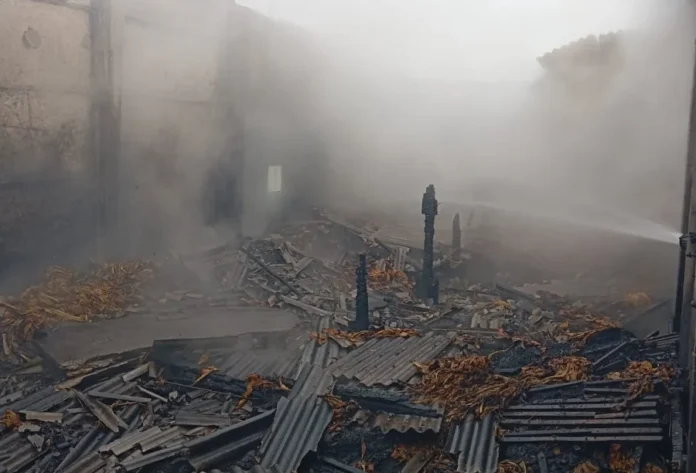 Incêndio atinge estufa de fumo no bairro Santa Fé, em Sombrio nterior da estufa de fumo em chamas. Fumaça densa preenche o ambiente. Escombros carbonizados, telhas metálicas destruídas e fardos de fumo queimados ou molhados estão espalhados pelo chão. Um jato de água, provavelmente de um bombeiro, é visível no canto superior direito.