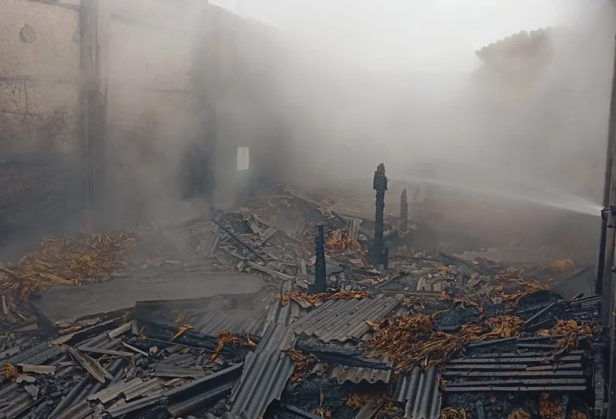 nterior da estufa de fumo em chamas. Fumaça densa preenche o ambiente. Escombros carbonizados, telhas metálicas destruídas e fardos de fumo queimados ou molhados estão espalhados pelo chão. Um jato de água, provavelmente de um bombeiro, é visível no canto superior direito.