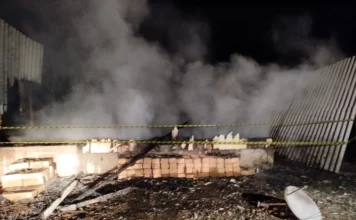 Incêndio em Timbé do Sul: Casa é destruída pelo fogo Escombros carbonizados e base de tijolos de uma casa de madeira, com fumaça subindo e área isolada com fita, após ser totalmente destruída por incêndio no bairro Vila Nova, em Timbé do Sul.