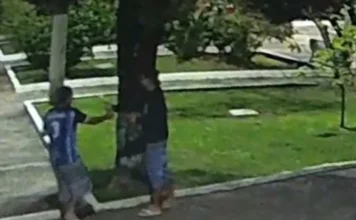 Polícia indicia dupla por vandalismo em enfeites de Timbé do Sul Imagem de câmera de segurança mostrando dois homens junto a uma árvore na praça, representando a dupla indiciada pela Polícia Civil por vandalismo em enfeites de Natal em Timbé do Sul.