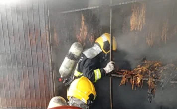 São João do Sul: Incêndio atinge estufa de fumo na zona rural Bombeiros com capacetes amarelos e equipamentos de oxigênio combatendo o incêndio dentro de uma estufa de fumo na zona rural de São João do Sul.