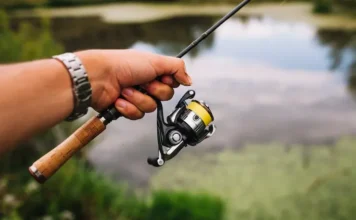 FGTAS detalha mudanças no Seguro-Desemprego do Pescador uma mão segurando uma vara de pesca