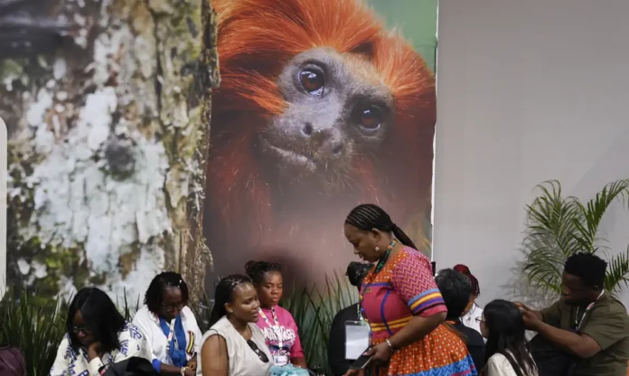 _rbr1989 Pessoas em frente um telão com animais