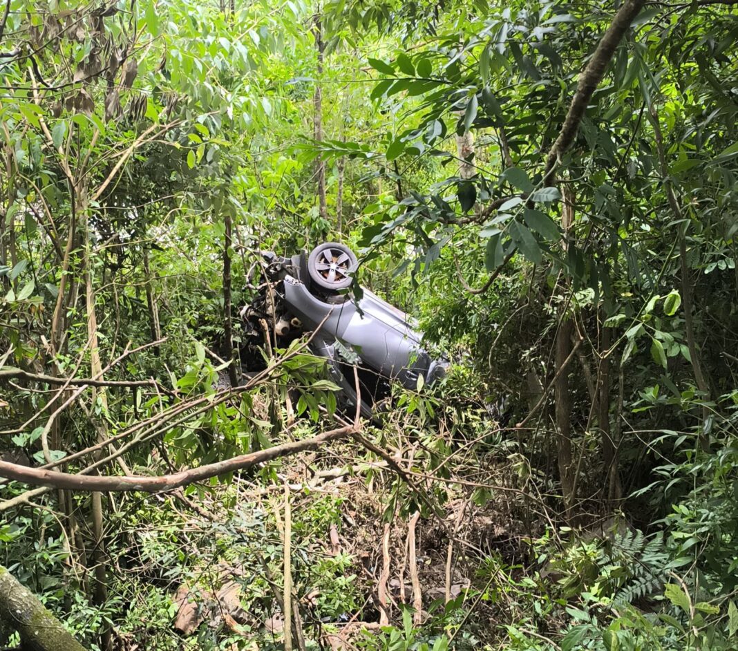 WhatsApp Image 2025-12-12 at 14.32.31