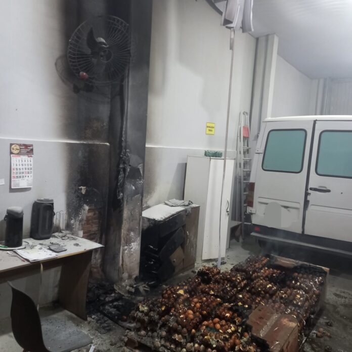 WhatsApp Image 2025-12-22 at 08.29.02