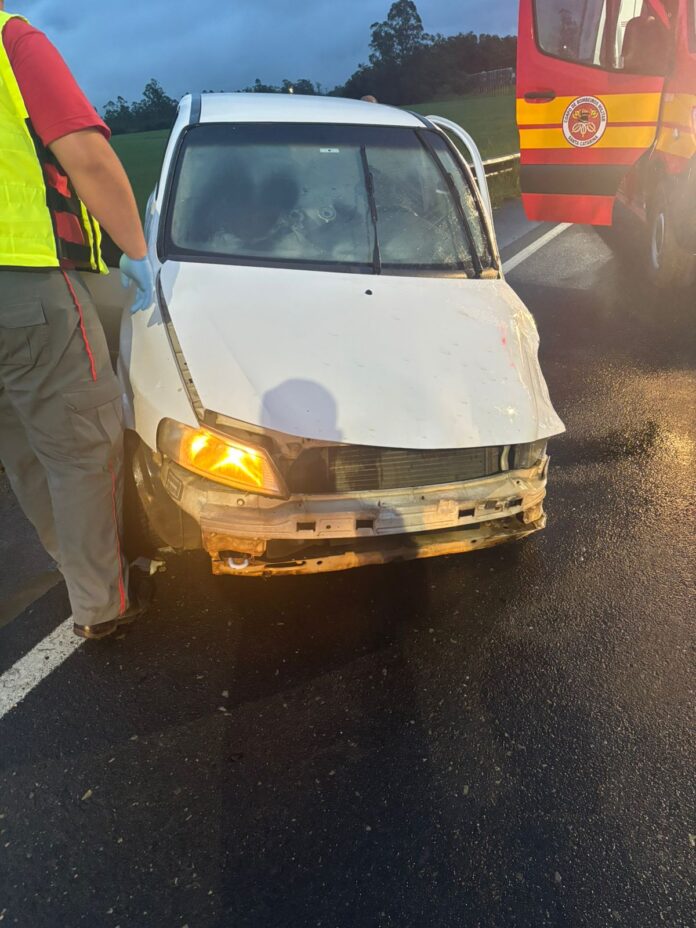 WhatsApp Image 2025-12-28 at 22.48.11