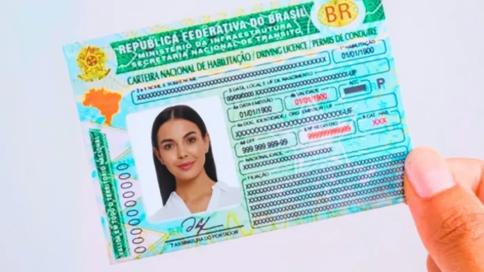 04233820_285722_GD_11zon