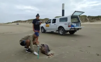 Ceclimar abre seleção com vagas para níveis médio e superior