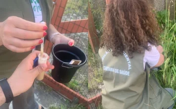 Tramandaí registra focos do mosquito da dengue em sete bairros