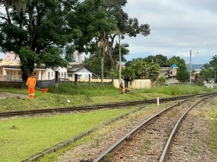 Criciúma inicia ação de segurança e social no Pinheirinho Equipe de zeladoria da Prefeitura de Criciúma realiza serviços de limpeza e roçada na região dos trilhos do bairro Pinheirinho durante operação integrada.