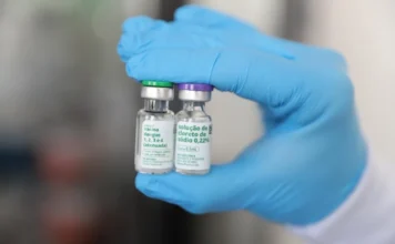 Criciúma inicia vacinação contra dengue para jovens na segunda Fotografia em close-up mostra uma mão utilizando luva de procedimento azul e segurando dois pequenos frascos de vidro. O frasco à esquerda possui rótulo verde e branco com a inscrição "vacina dengue 1, 2, 3 e 4 (atenuada)", e o frasco à direita possui rótulo roxo e branco identificando a "solução de cloreto de sódio 0,22%". A imagem, com fundo desfocado, ilustra o imunizante que será utilizado na campanha de vacinação em Criciúma.