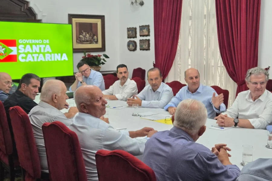 Governador Jorginho Mello reunido em mesa de conferência com representantes do SindArroz-SC e da Câmara Setorial do Arroz para discutir medidas de apoio contra a crise no setor produtivo, com o logo do Governo de Santa Catarina exibido em tela ao fundo.