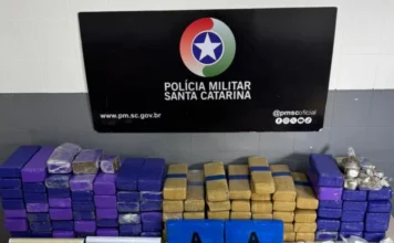 Homem é preso com 70 kg de drogas em Forquilhinha Apreensão de mais de 70 kg de drogas, balanças e munições dispostas sobre mesa branca em unidade da Polícia Militar."