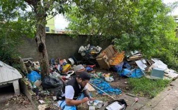 Janeiro Amarelo: Araranguá intensifica combate à dengue Agente de saúde de Araranguá fiscaliza quintal com lixo acumulado durante a campanha Janeiro Amarelo. Ação visa eliminar focos do mosquito Aedes aegypti após aumento de casos na região.