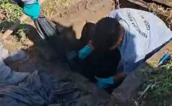 Lona de 30 metros é retirada de bueiro em Cocal do Sul Fotografia registra o momento em que equipes da Secretaria de Infraestrutura de Cocal do Sul removem uma extensa lona preta de dentro de uma boca de lobo. Na imagem, trabalhadores usando luvas de proteção aparecem inclinados sobre a abertura no solo, puxando o material plástico volumoso que estava obstruindo a rede de drenagem. A lona retirada, com cerca de 30 metros de comprimento, é vista acumulada na lateral, evidenciando o descarte irregular que compromete o escoamento das chuvas.