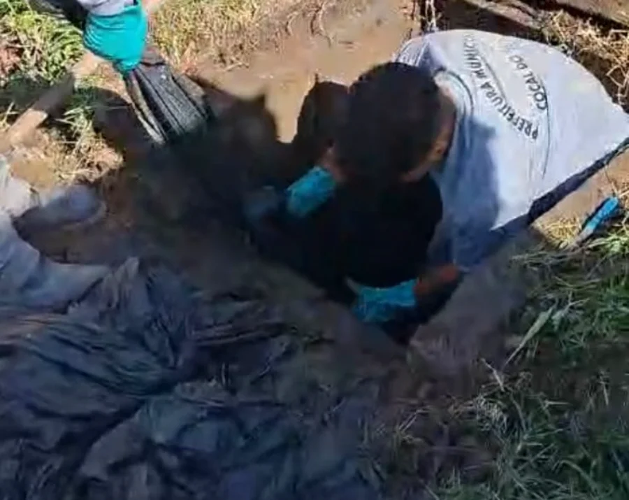 Fotografia registra o momento em que equipes da Secretaria de Infraestrutura de Cocal do Sul removem uma extensa lona preta de dentro de uma boca de lobo. Na imagem, trabalhadores usando luvas de proteção aparecem inclinados sobre a abertura no solo, puxando o material plástico volumoso que estava obstruindo a rede de drenagem. A lona retirada, com cerca de 30 metros de comprimento, é vista acumulada na lateral, evidenciando o descarte irregular que compromete o escoamento das chuvas.