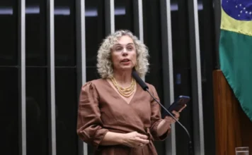 Protocolo agiliza socorro a jovens em risco de suicídio A deputada Ana Paula Lima (PT-SC), relatora do projeto de lei que cria um protocolo nacional de atendimento imediato para crianças e adolescentes em casos de tentativa de suicídio, fala ao microfone durante uma sessão na Câmara dos Deputados, com a bandeira do Brasil ao fundo.