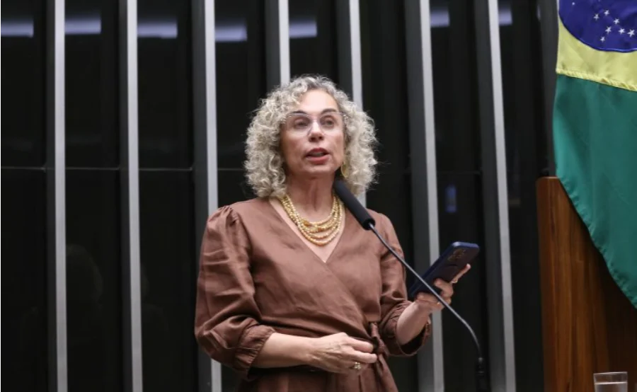 A deputada Ana Paula Lima (PT-SC), relatora do projeto de lei que cria um protocolo nacional de atendimento imediato para crianças e adolescentes em casos de tentativa de suicídio, fala ao microfone durante uma sessão na Câmara dos Deputados, com a bandeira do Brasil ao fundo.