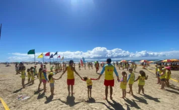 Inscrições abertas para o Programa Golfinho nas praias de SC