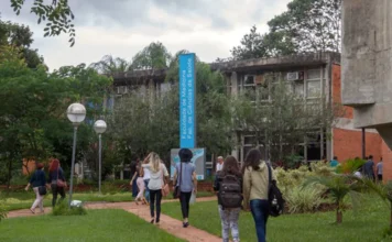 Senado avalia criar “OAB da Medicina” após dados do Enamed Estudantes caminham pelo campus em direção à entrada de um prédio identificado com uma placa azul onde se lê "Faculdade de Medicina". A imagem ilustra o ambiente de formação médica, cujo cenário atual enfrenta debates no Senado sobre a qualidade do ensino e a proposta de criação do exame Profimed como pré-requisito para o registro profissional, após resultados insatisfatórios no Enamed.