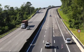 Senado vota cultivo em rodovias e expansão da Sudene Vista panorâmica de uma rodovia de pista dupla com fluxo de carros e caminhões, cercada por faixas de domínio com vegetação verde e árvores, áreas que são foco do projeto de lei em pauta no Senado para autorização de atividades agrícolas.