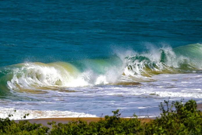 WhatsApp-Image-2025-12-30-at-16.32.47_11zon