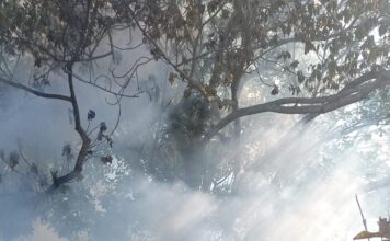 Incêndio atinge casa abandonada no Arroio do Silva