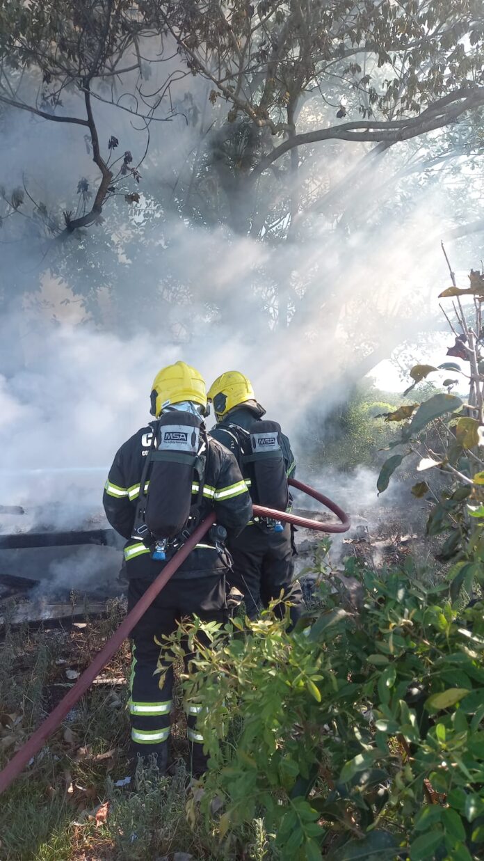 WhatsApp Image 2026-01-16 at 11.53.57