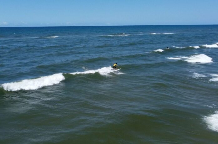 WhatsApp Image 2026-01-20 at 11.29.54