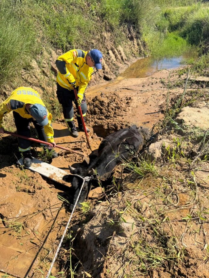 WhatsApp Image 2026-01-27 at 20.13.57