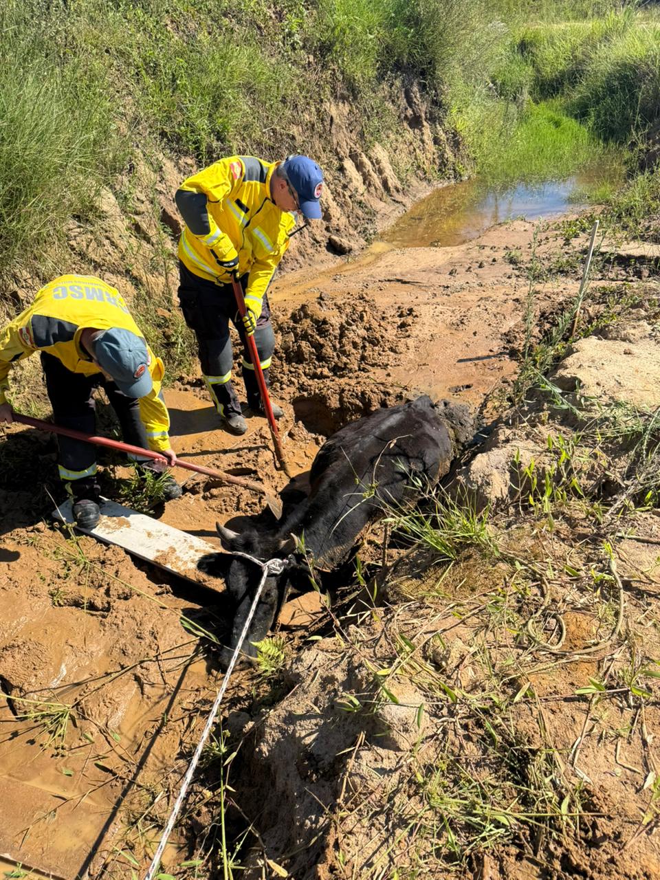 WhatsApp Image 2026-01-27 at 20.13.57