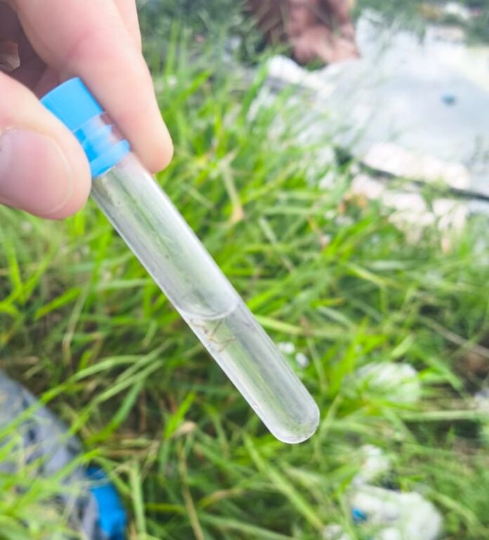 img_0CC2A25B05075516C60B18EC3333A291DE402A6E