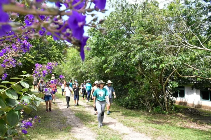 12160030_2243142_GDO_11zon