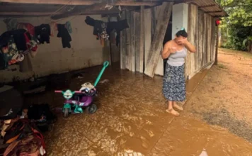 Cocal do Sul arrecada doações para vítimas de enxurrada Fotografia colorida mostra uma mulher em um momento de desolação após a enxurrada em Cocal do Sul. Ela veste uma blusa cinza e saia estampada, segurando um copo e cobrindo o rosto com a mão em sinal de abatimento. O chão da varanda de sua casa de madeira está completamente coberto por uma espessa camada de lama marrom. Ao fundo, veem-se roupas penduradas em um varal improvisado e um triciclo infantil roxo e verde cercado pelos detritos trazidos pela inundação.