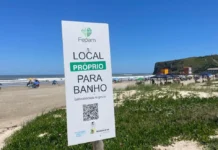 Litoral Norte volta a ter praias próprias para banho