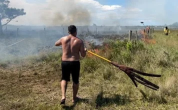 Incêndio em vegetação é controlado em Balneário Gaivota Homem utiliza um abafador para combater focos de incêndio em área de vegetação rasteira, com fumaça ao fundo e outras pessoas auxiliando na ação, ilustrando o esforço conjunto de moradores e autoridades para controlar as chamas na região da Praia da Lagoinha.