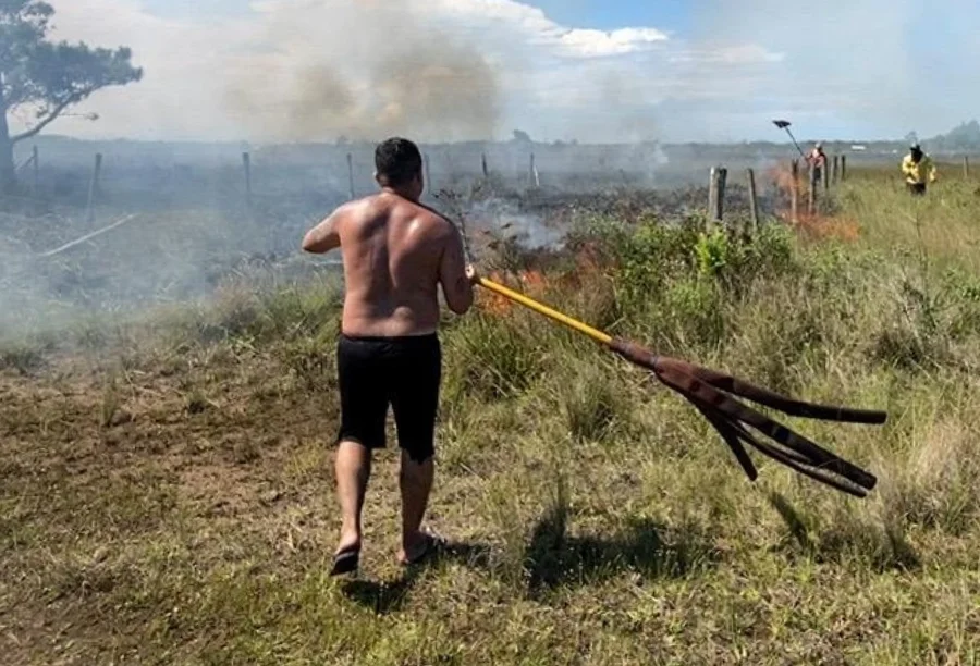 Homem utiliza um abafador para combater focos de incêndio em área de vegetação rasteira, com fumaça ao fundo e outras pessoas auxiliando na ação, ilustrando o esforço conjunto de moradores e autoridades para controlar as chamas na região da Praia da Lagoinha.