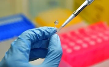 Pesquisa revela perfil da epidemia de dengue de 2024 Uma imagem em close-up mostra uma mão usando uma luva de látex azul segurando um pequeno tubo de ensaio transparente enquanto uma pipeta prateada e preta é usada para adicionar ou remover líquido dele. O fundo está desfocado, mas mostra racks de laboratório coloridos (azul, amarelo, rosa) contendo outros tubos, indicando um ambiente de análise laboratorial. A imagem ilustra o processo de manipulação de amostras biológicas, similar ao realizado pelos pesquisadores da Fiocruz e UFMG para as análises clínicas e laboratoriais (como PCR e sorologia) do estudo sobre a epidemia de dengue em Minas Gerais.