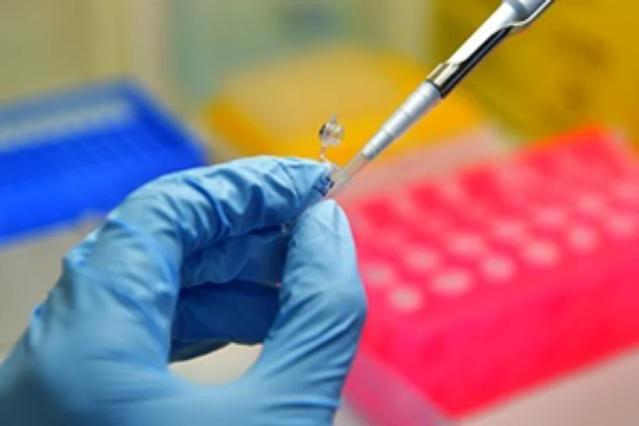 Uma imagem em close-up mostra uma mão usando uma luva de látex azul segurando um pequeno tubo de ensaio transparente enquanto uma pipeta prateada e preta é usada para adicionar ou remover líquido dele. O fundo está desfocado, mas mostra racks de laboratório coloridos (azul, amarelo, rosa) contendo outros tubos, indicando um ambiente de análise laboratorial. A imagem ilustra o processo de manipulação de amostras biológicas, similar ao realizado pelos pesquisadores da Fiocruz e UFMG para as análises clínicas e laboratoriais (como PCR e sorologia) do estudo sobre a epidemia de dengue em Minas Gerais.