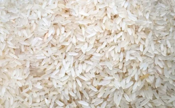 Preço do arroz despenca e gera crise na indústria de SC Fotografia em plano detalhe (close-up) de uma grande quantidade de grãos de arroz branco do tipo agulhinha amontoados. A imagem exibe a textura e o polimento dos grãos, simbolizando o principal item da mercearia básica que registrou queda de 36,4% no varejo nacional e motivou o alerta do SindArroz-SC.