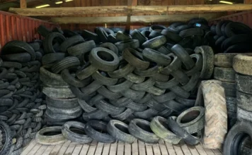 SC abre inscrições para recolhimento de pneus em 2026 Grande acúmulo de pneus inservíveis e sujos, de diversos tamanhos, empilhados desordenadamente dentro de um galpão com estrutura de madeira e metal. A imagem ilustra o tipo de material que deve ser recolhido durante a campanha para evitar o acúmulo de água e a proliferação do mosquito da dengue.