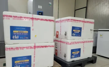 SC inicia distribuição de anticorpo contra VSR para bebês Quatro caixas térmicas de isopor brancas, lacradas com fitas de segurança vermelhas, estão empilhadas sobre paletes de madeira e plástico em um ambiente de armazenamento climatizado. As caixas possuem etiquetas azuis de identificação da Secretaria de Estado da Saúde de Santa Catarina, com os destinos destacados: "UDVE São Miguel do Oeste" e "UDVE Xanxerê". Ao fundo, é possível observar um freezer científico indicando a temperatura de -80°C, reforçando o cuidado com a rede de frio para o transporte do anticorpo nirsevimabe.