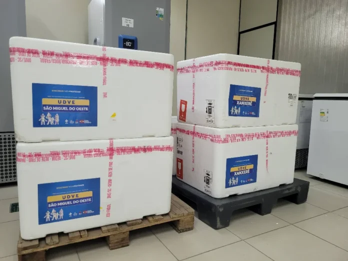 SC inicia distribuição de anticorpo contra VSR para bebês Quatro caixas térmicas de isopor brancas, lacradas com fitas de segurança vermelhas, estão empilhadas sobre paletes de madeira e plástico em um ambiente de armazenamento climatizado. As caixas possuem etiquetas azuis de identificação da Secretaria de Estado da Saúde de Santa Catarina, com os destinos destacados: "UDVE São Miguel do Oeste" e "UDVE Xanxerê". Ao fundo, é possível observar um freezer científico indicando a temperatura de -80°C, reforçando o cuidado com a rede de frio para o transporte do anticorpo nirsevimabe.