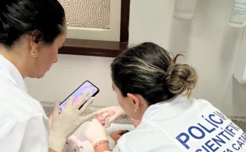 SC testa emissão de Identidade Nacional em maternidades Duas profissionais da Polícia Científica de Santa Catarina, vestindo jalecos brancos e luvas, realizam o procedimento de coleta biométrica e registro fotográfico de um recém-nascido em uma maternidade. Uma das servidoras utiliza um smartphone para capturar a imagem do bebê, enquanto a outra auxilia no posicionamento da criança sobre o trocador.