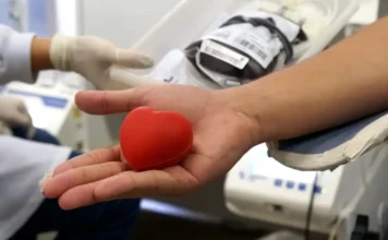 Saúde convoca doadores de sangue antes do Carnaval Fileira de bolsas de sangue total devidamente etiquetadas e armazenadas em uma estante de processamento dentro de um hemocentro.