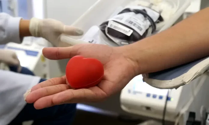 Saúde convoca doadores de sangue antes do Carnaval Fileira de bolsas de sangue total devidamente etiquetadas e armazenadas em uma estante de processamento dentro de um hemocentro.