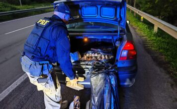 PRF prende mulher com mais de 70 kg de drogas em Torres