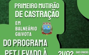 Mutirão de castração acontece em Balneário Gaivota