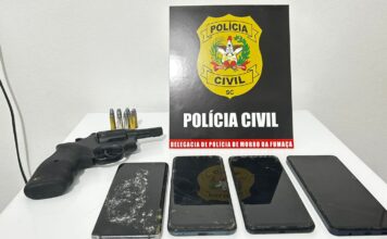 Polícia prende homem por posse ilegal de arma em SC